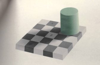 Checker Board Illusion