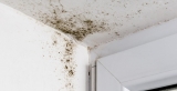 Removing Mold & Mildew From The Home