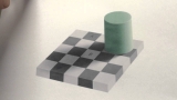 The Checker Board Illusion