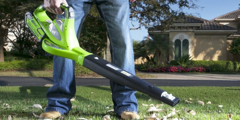 Top 10 Best Cordless Leaf Blowers of 2022 – Reviews