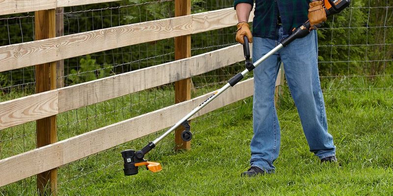 Top 10 Best Weed Trimmers of 2022 – Reviews
