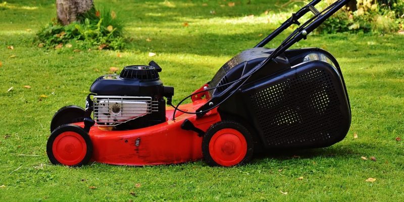 Top 10 Best Lawn Mowers of 2022 – Reviews